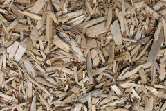 biomass boilers Inverchaolain